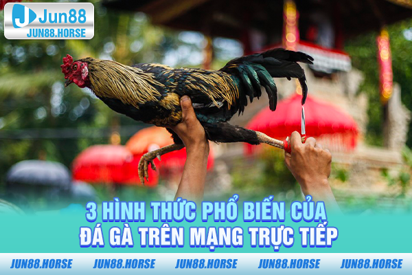 3 hình thức phổ biến của đá gà trên mạng trực tiếp
