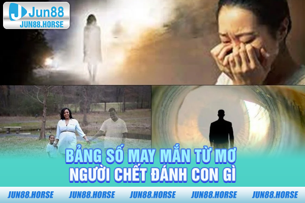 Mơ người chết đánh con gì trong từng tình huống cụ thể