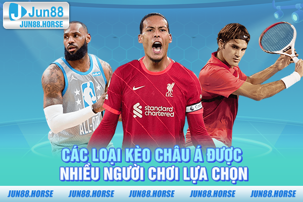 Các loại kèo châu Á được nhiều người chơi lựa chọn