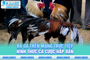 Đá gà trên mạng trực tiếp