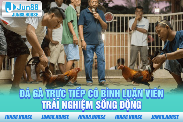 Đá gà trực tiếp có bình luận viên