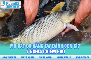Mơ Bắt Cá Bằng Tay Đánh Con Gì
