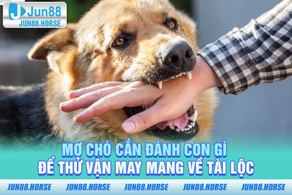 mơ chó cắn đánh con gì