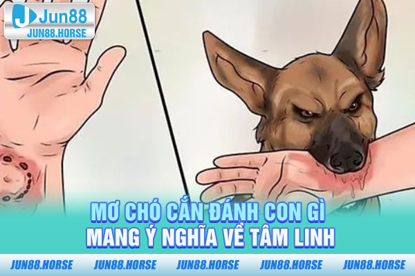 Mơ chó cắn đánh con gì mang ý nghĩa về tâm linh