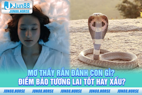 Mơ thấy rắn đánh con gì