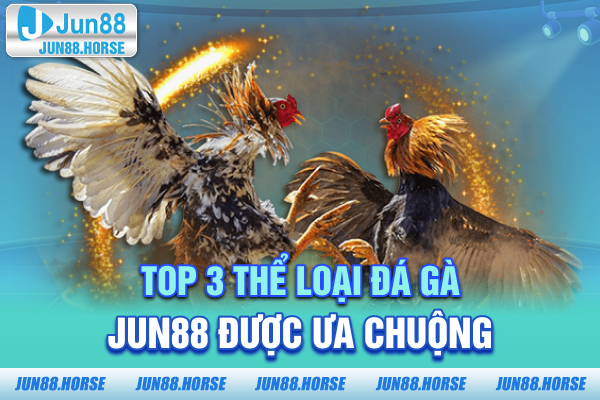Top 3 thể loại đá gà JUN88 được ưa chuộng